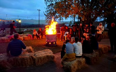 Why the KZN Midlands is Perfect for Corporate Retreats